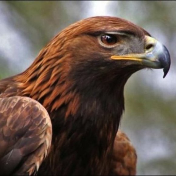 Meet your Posher, Jaime - Picture 1 of 1